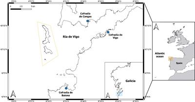 Assessing the importance of kelp forests for small-scale fisheries under a global change scenario